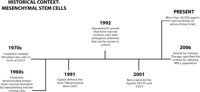 Mesenchymal Stem Cells (MSCs) as a Potential Therapeutic Strategy in COVID-19 Patients: Literature Research